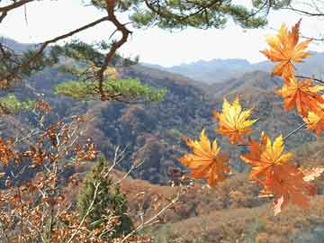 两融余额突破历史新高，关注“行业均衡，龙头荟萃”A股核心资产标的，同类中更多人选择的中证A500ETF（159338）