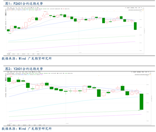 油脂:阿根廷暂时免征谷物出口关税,油脂市场应声回调