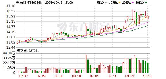 天马科技：公司无逾期的对外担保事项