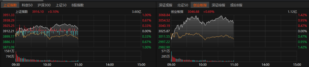 存储芯片爆发！300475 股价新高
