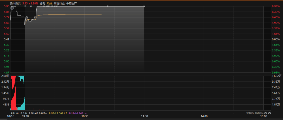存储芯片爆发!300475 股价新高