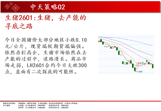 中天期货:原油小幅回弹 螺纹高开低走